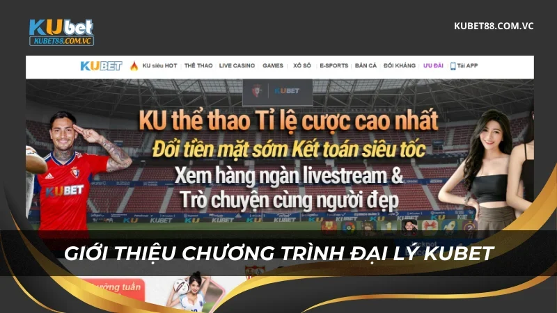Giới thiệu về chương trình đại lý Kubet